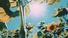 Only U Teaser