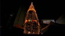 Can't Stop Christmas