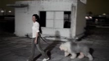我明白他