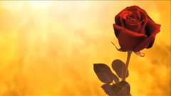 To Light (Original Mix)