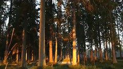 瑞典航拍Henning Sandström