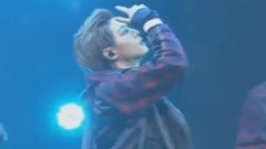 Fly (Mark Ver.)