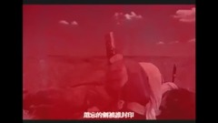 影视原声 - 杀破狼