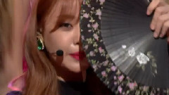 Bobby Doll