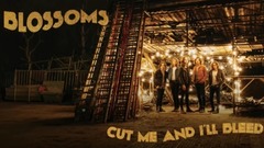 Cut Me and I'll Bleed