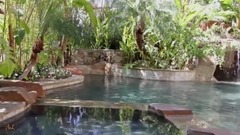 炎炎夏日的美景