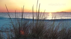 惬意的音乐美丽的日落