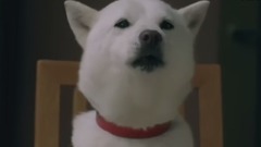 Harmonious Japanese Television Advertising