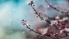 BTS Jin - AWAKE - Piano Cover