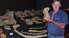 Man Discovers New Dinosaur Species While Herding Sheep