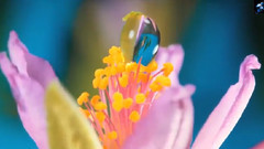 Colors Of Life (生命的颜色)