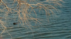 秀丽自然风光美景