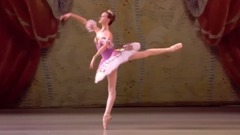 Vaganova Ballet Academy