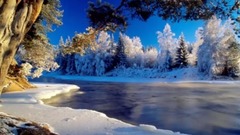 初雪吻冬・冬迷人