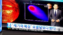 来自星星的小羊