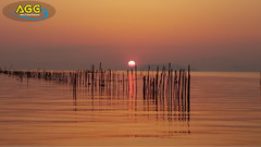 日本琵琶湖畔风景