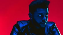 Starboy 歌词版