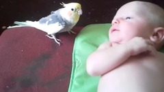 Песенки для малыша