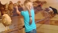 Девочка учит куриц математике