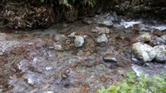 Hymn For The Weekend