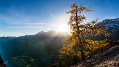 穿越时间的雕刻