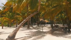 多米尼加蓬塔卡纳