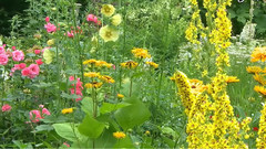 芭芭拉史翠珊与乔许葛洛班