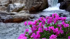 山岭峡谷的春天