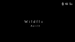 Time Lapse Wildflower