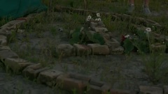 Run Sister Run