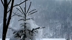 冰雪天堂