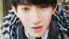 梓木向乐