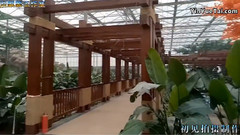 千朝观园纪实游记