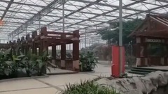 千朝观园纪实游记第二部