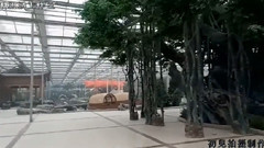 创意园林艺术境界