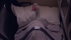 BetterWayToFly Campaign