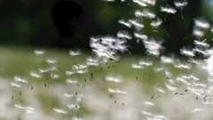 等你等了那么久