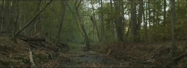 Arkansas