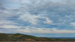 Silent Wings - Secret Garden