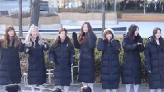 MOMOLAND