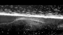 A Song For Europa