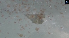 Take Me To The Stars