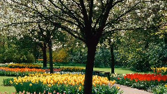 Les Jardins du Monde