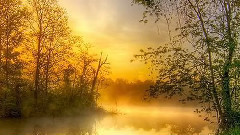 A Morning at the Spring