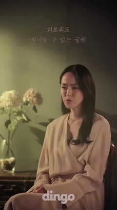梦