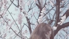 Let Her Go