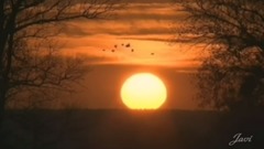 帕格尼尼主题拉赫曼尼诺夫悲秋