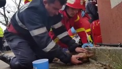 Пожежний рятує життя собаки