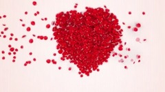 广州市田野婚纱摄影