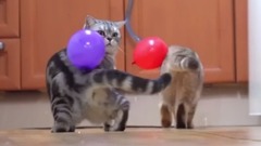 The Scientific Reason Static Electricity Is